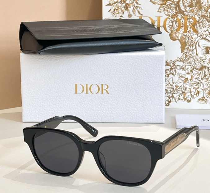 Dior – Lunettes de soleil Round Signature
