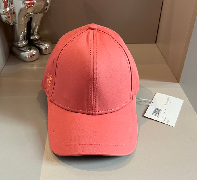 Dior – Casquette Bee Embroidery Signature