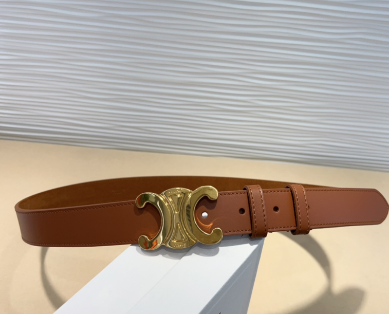 Ceinture Celine Triomphe Toile Signature et Cuir