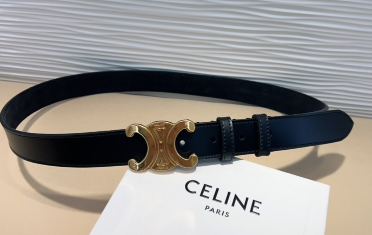 Ceinture Celine Triomphe Toile Signature et Cuir