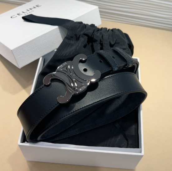 Ceinture Celine Triomphe Toile Signature et Cuir