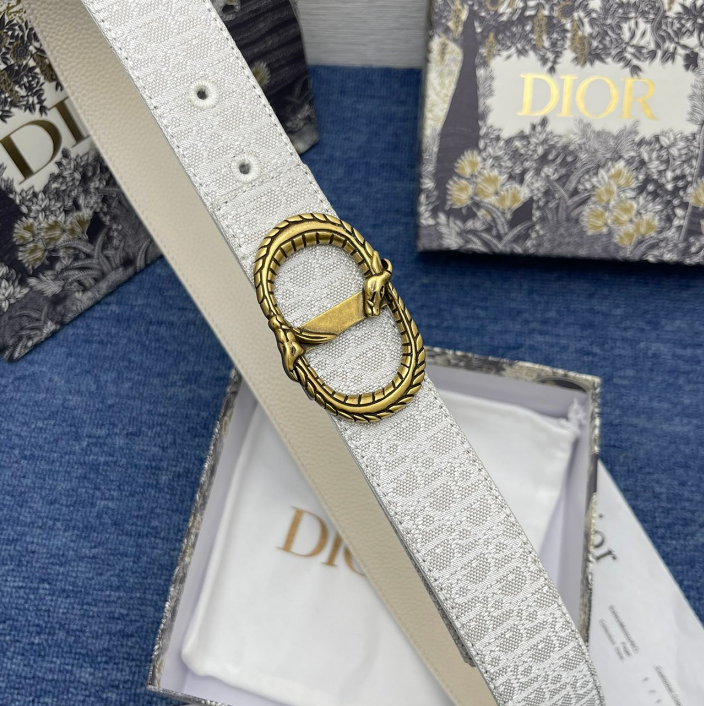 Ceinture Dior Saddle Monogram Boucle Double Anneau