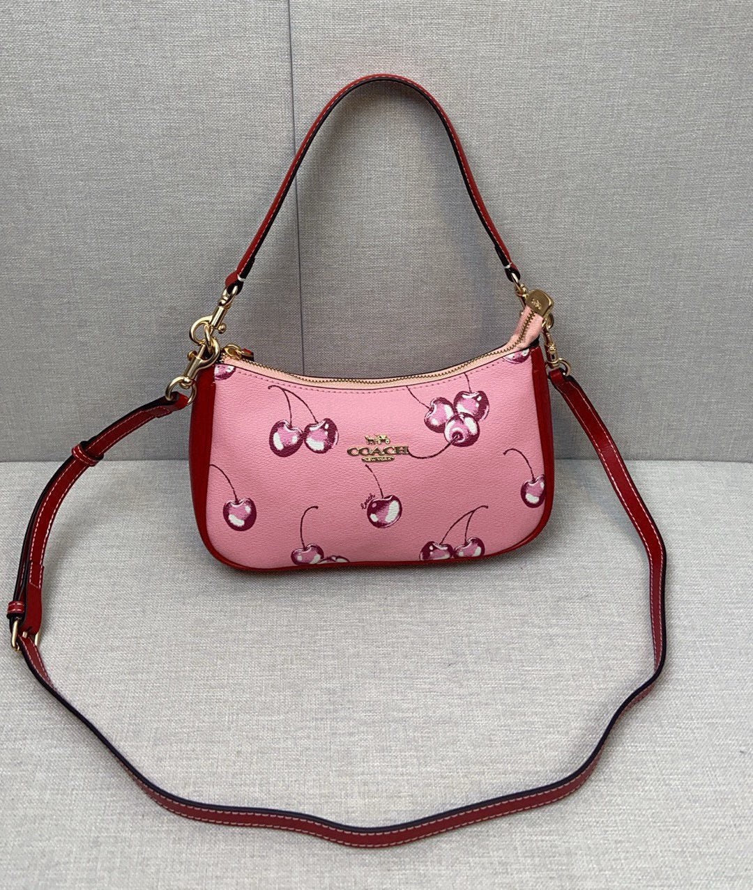 Découvrez le Sac Coach CB2909, un modèle élégant avec un motif unique de cerises rouges.