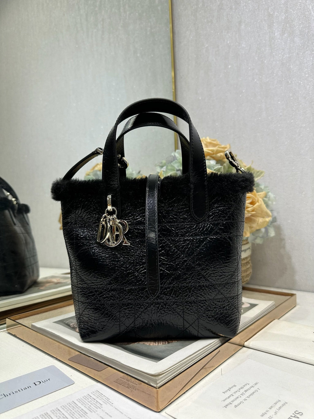 Dior Toujours Bag (Mini / Small)
