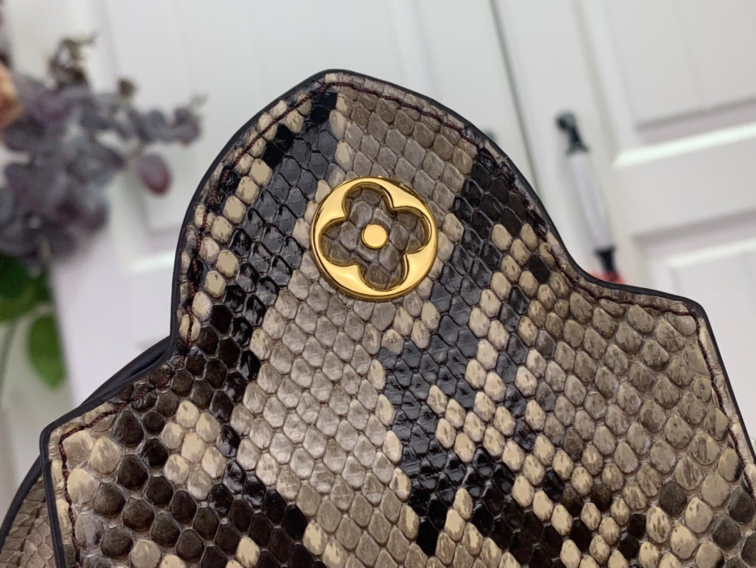 Sac Louis Vuitton Capucines